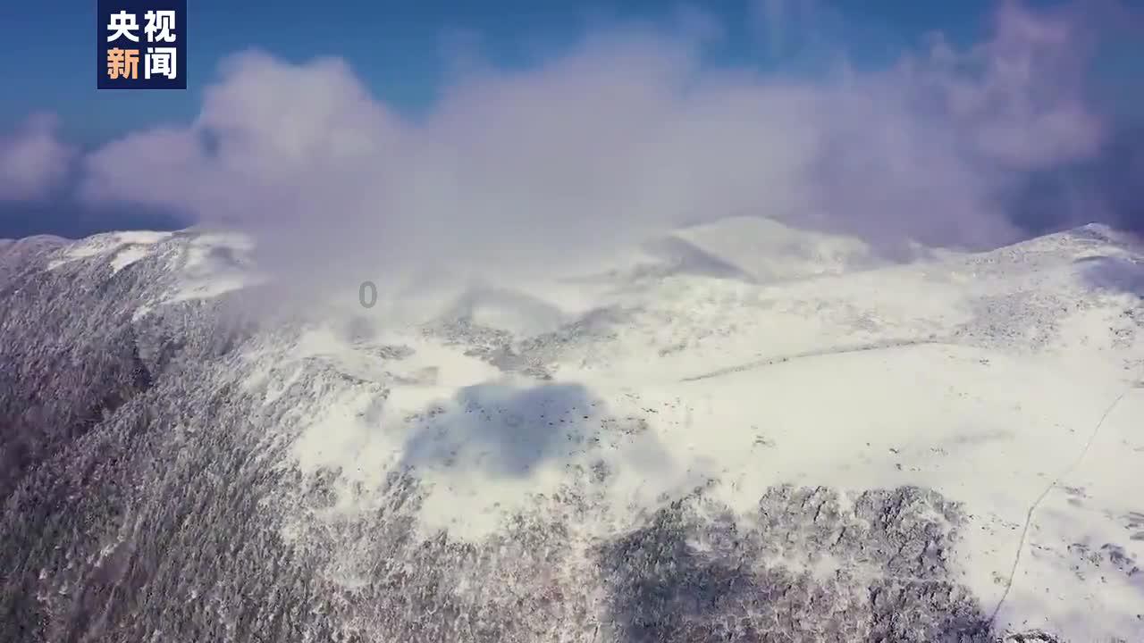 救援外星小怪物