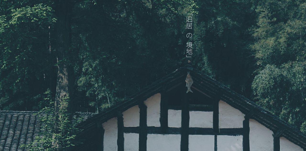 从苹果公布的图片来看 Vision Pro芯片和摄像头呈两侧对称分布