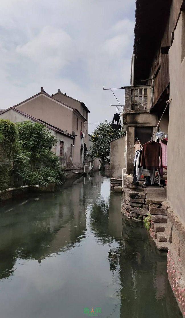 动物帮帮忙保卫家园